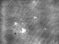 [������� 20%]