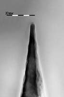 [����������]