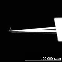 [����������]