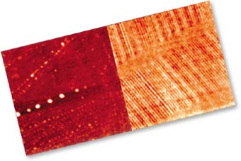 Magnetic test structure